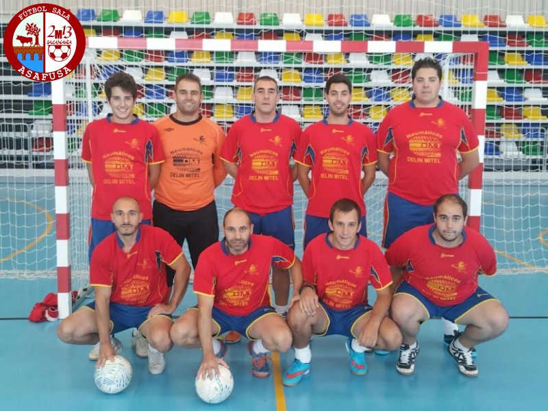 Foto del Equipo de Fútbol Sala: NEUMTICOS DELIN MITEL