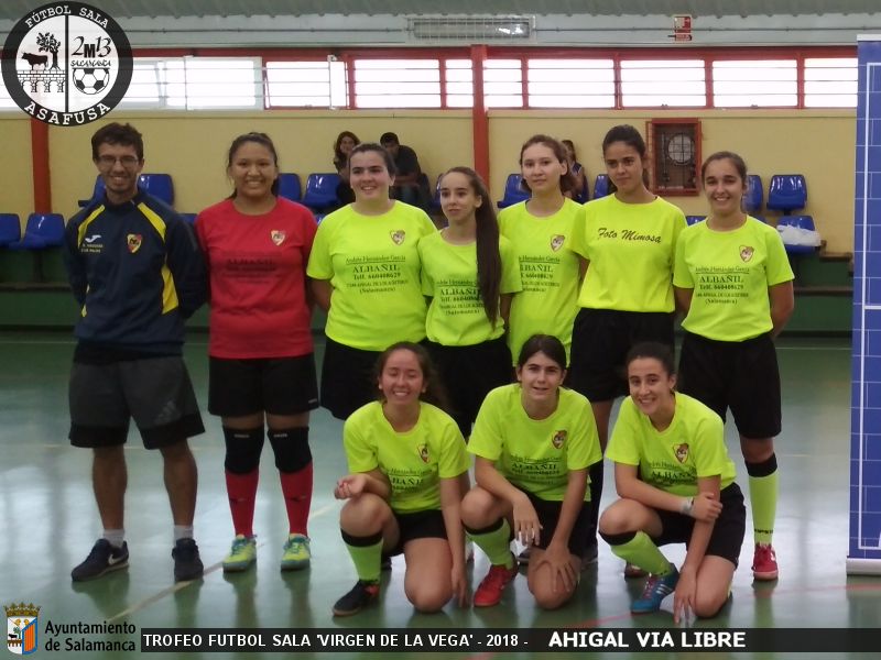 Foto del Equipo de Fútbol Sala: AHIGAL VA LIBRE