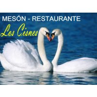 Escudo/Logotipo del Equipo de Fútbol Sala: MESN LOS CISNES