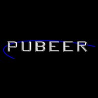 Escudo/Logotipo del Equipo de Fútbol Sala: PUBEER TECHISAL